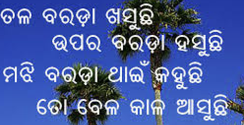 ବରଡ଼ା